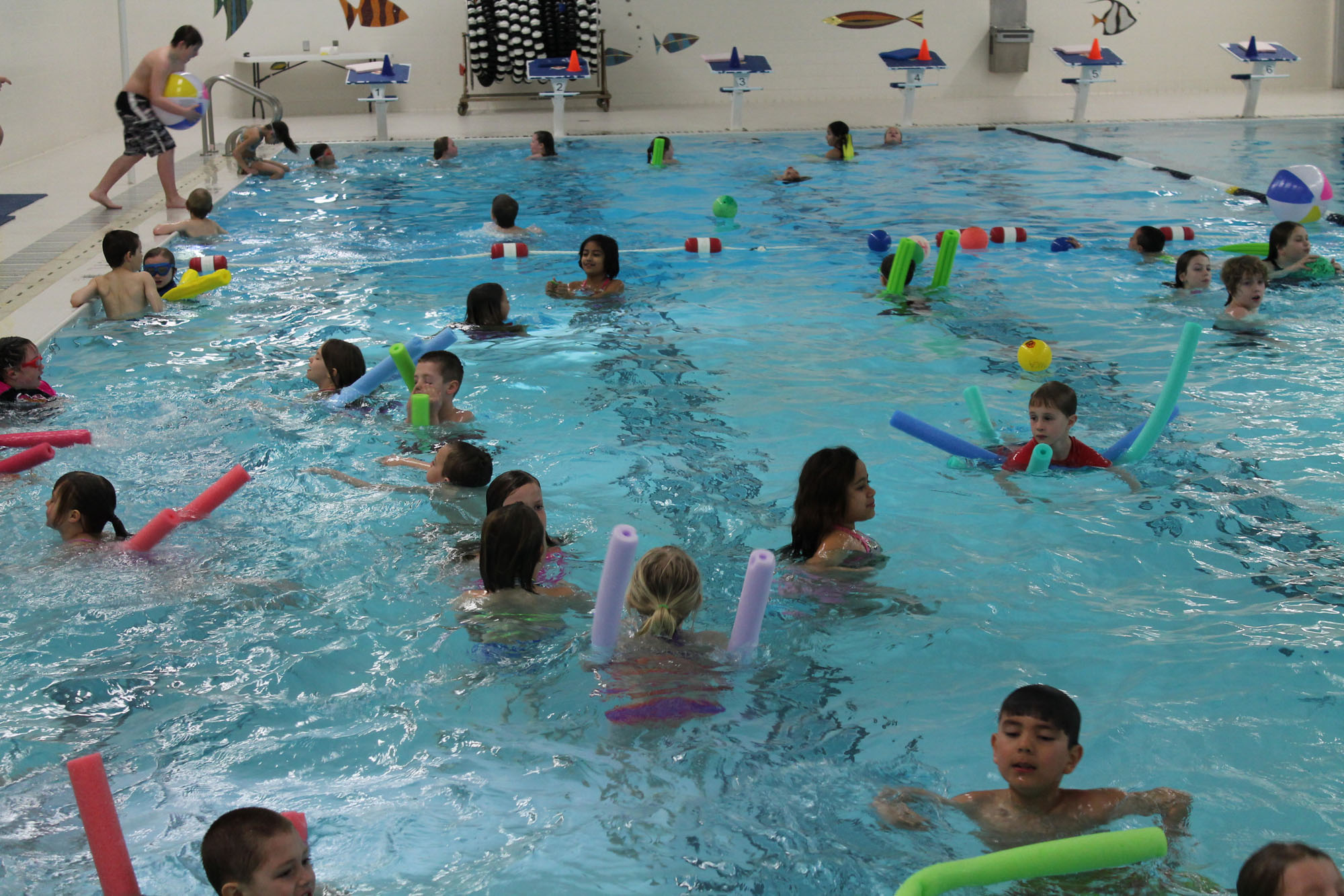 embe-no-school-swim