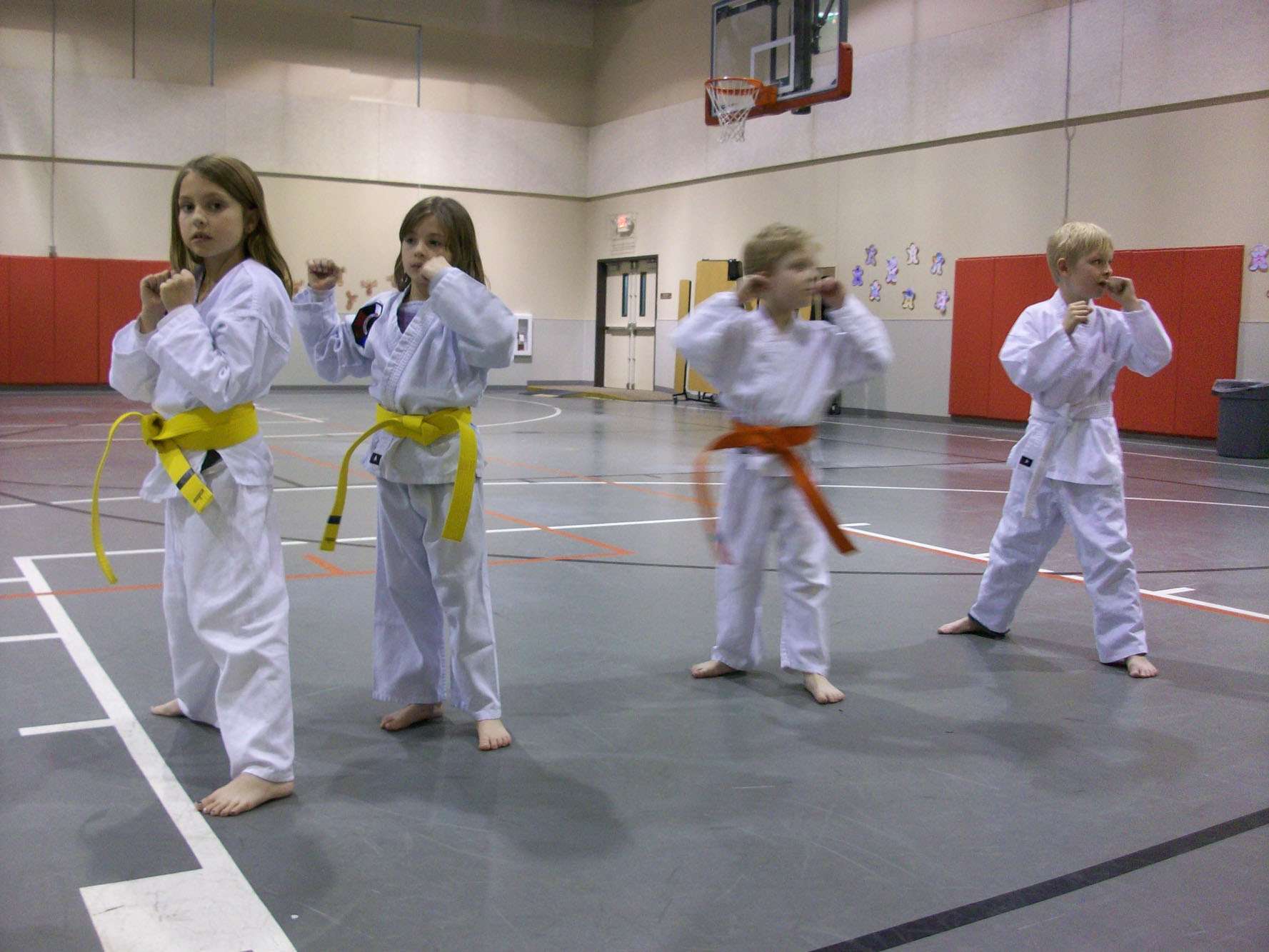 embe-taekwondo-2